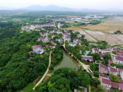 植綠不止，春山可望！馬鞍山市這個(gè)縣扛起高質(zhì)量發(fā)展“綠色擔(dān)當(dāng)”