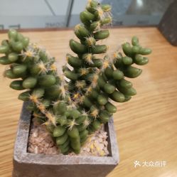 馬鞍山雨山區面包飲品團購指南 價格、地址、營業時間及美食推薦